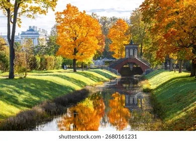 Где брать горящие туры и выгодные акции